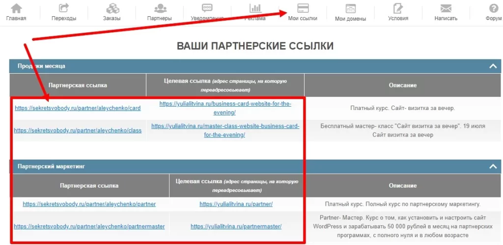 партнерская программа Литвиной